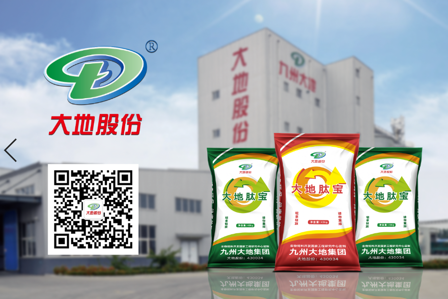 Stake(中国区)官方网站